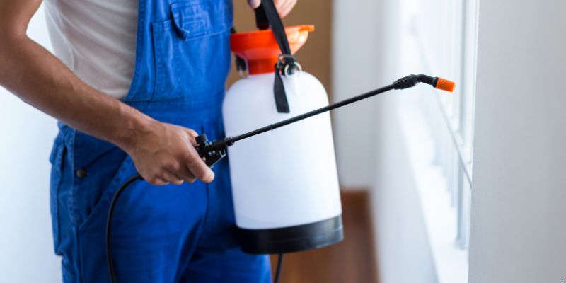 Como fazer dedetização em casa em Contagem