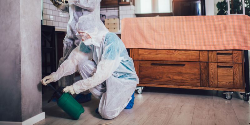 Dedetização em apartamento como funciona em Contagem