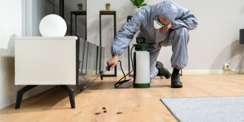 Quanto tempo dura uma dedetização em Contagem?